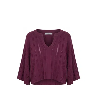Malo Purple Cotton Women Sweater In Gold