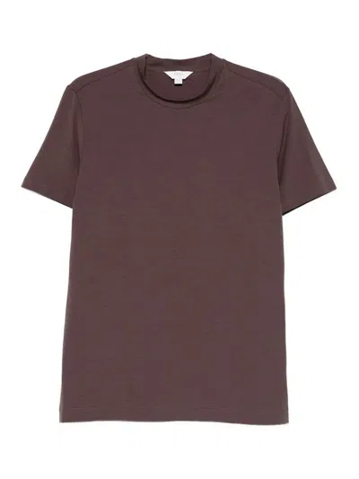 Malo Short Sleeve Round Neck In Brown