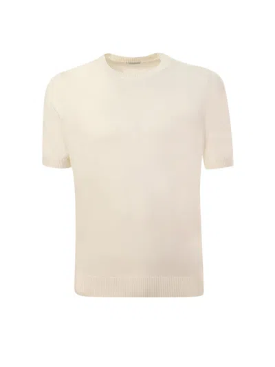 Malo T-shirt  In White