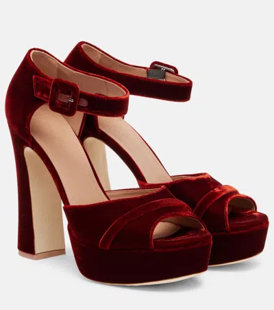 Malone Souliers Yuri 125 Velvet Platform Sandals In Burgundy