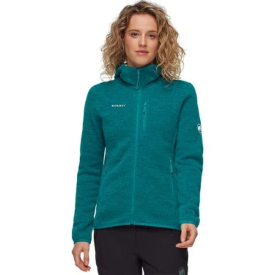 Mammut Arctic Iv ml Hooded Jacket In Green