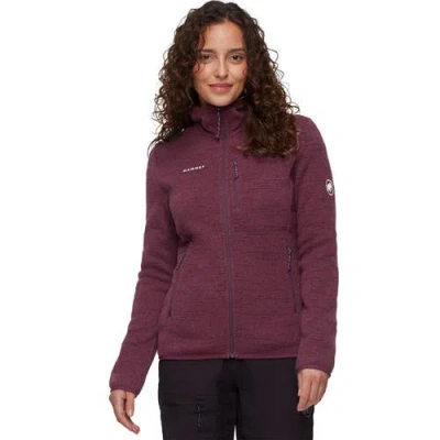 Mammut Arctic Iv ml Hooded Jacket In Multi