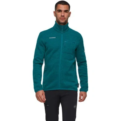 Mammut Arctic Iv ml Jacket In Blue