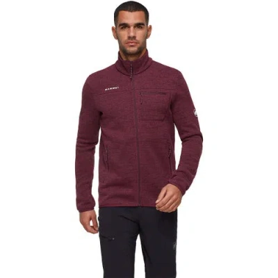 Mammut Arctic Iv ml Jacket In Brown