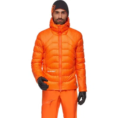 Mammut Eiger Nordwand Light Down In Hooded Jacket In Orange
