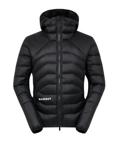 Mammut Eiger Nordwand Light Down In Hooded Jacket Men In Multi