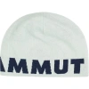 Mammut Logo Beanie In Gray