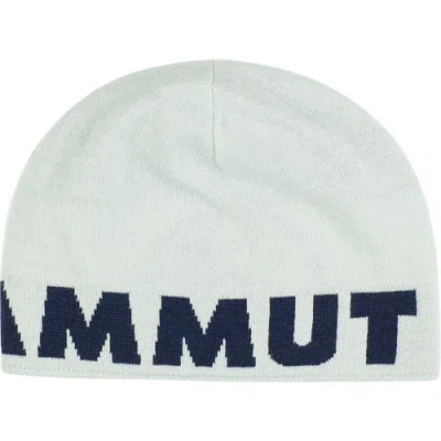 Mammut Logo Beanie In Gray