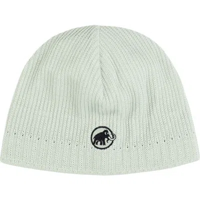 Mammut Sublime Beanie In Gray