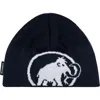 Mammut Tweak Beanie In Black