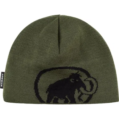 Mammut Tweak Beanie In Green