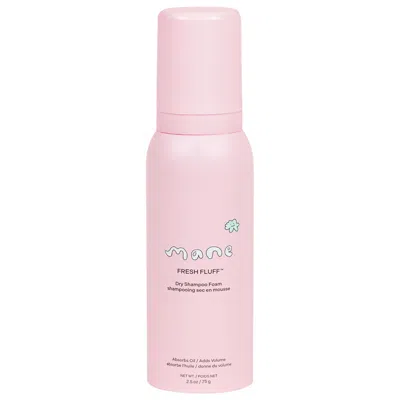 Mane Mini Fresh Fluff Dry Shampoo Foam 2.5/75