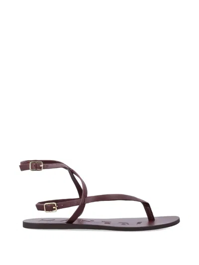 Manebi Strappy Leather Thong Flat Sandal In Brown