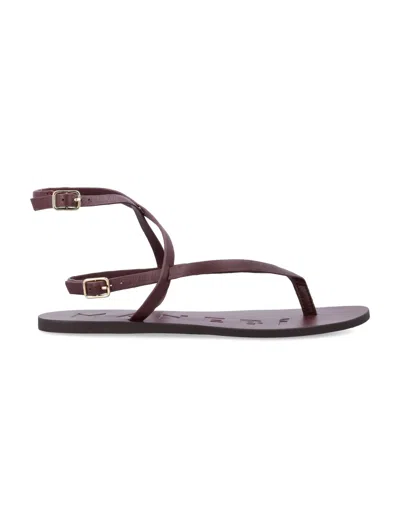 Manebi Flat Shoes Purple In Brown