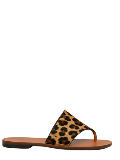 Manebi Stylish Round Toe Slip-on Sandals With Raffia Sole In Brown