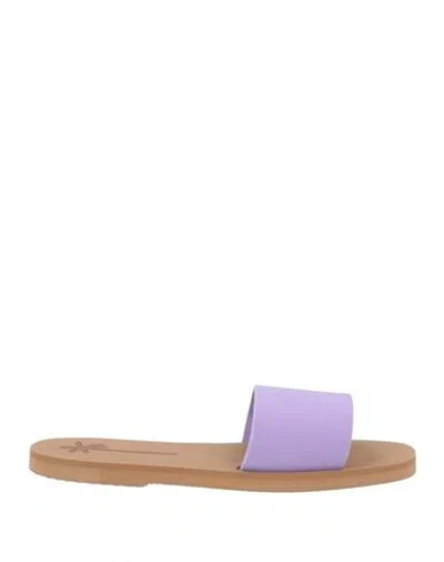 Manebi Manebí Woman Sandals Lilac Size 8 Eva (ethylene - Vinyl - Acetate) In Purple