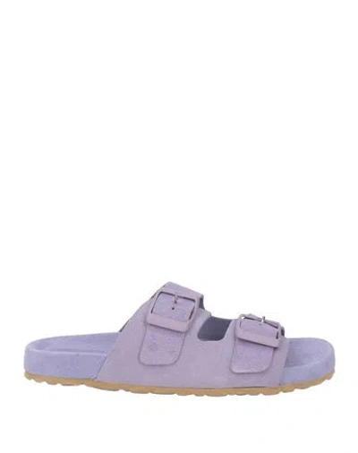 Manebi Manebí Woman Sandals Lilac Size 8 Leather In Purple