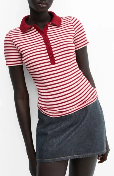 Mango Almond Polo In Pink Stripe