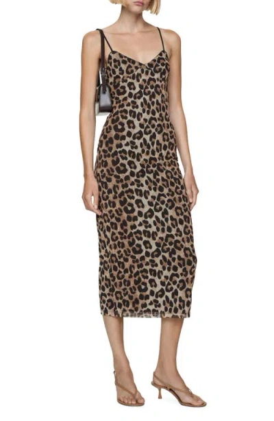 Mango Animal Print Midi Slipdress In Medium Brown