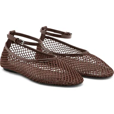 Mango Ankle Strap Ballet Flat In Brown