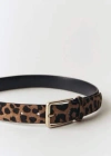 Mango Belt Brown In Brown