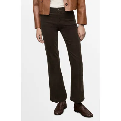 Mango Bootcut Corduroy Pants In Chocolate