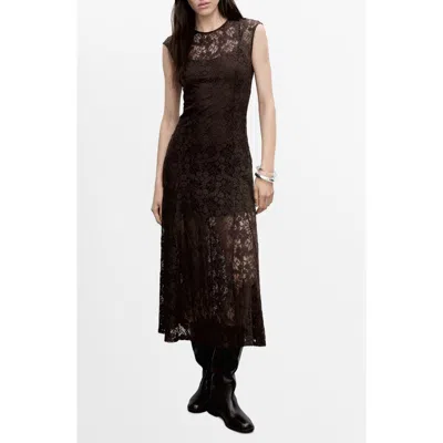 Mango Cap Sleeve A-line Lace Dress In Brown