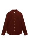 Mango Classic Fit Corduroy Button-down Shirt In Russet
