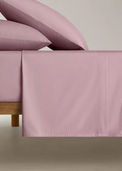 Mango Home Drap Plat Percale De Coton Lit 135/140 Cm Prune - Home - Lit 135/140 Cm -  In Purple