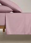 Mango Home Drap Plat Percale De Coton Lit 150/160 Cm Prune - Home - Lit 150/160 Cm -  In Purple