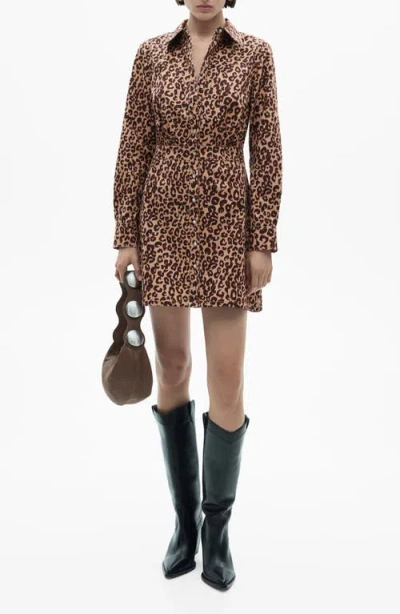 Mango Leopard-print Shirt Dress Brown
