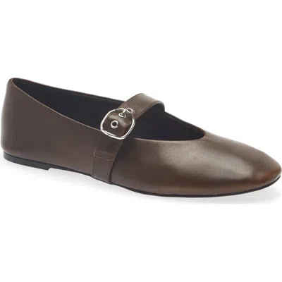 Mango Mary Jane Ballet Flat In Dark Chocolate