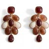 Mango Mixed Resin Drop Earrings In Brown