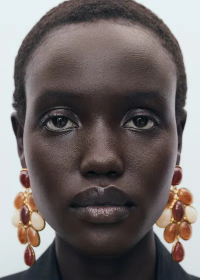 Mango Mixed Resin Earrings In Brown