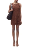 Mango Open Back Crochet Dress Chocolate