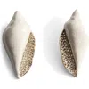 Mango Pavé Shell Drop Earrings In Metallic
