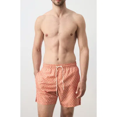 Mango Print Swim Trunks In Animal Print