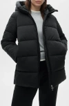 Mango Quilted Hooded Puffer Coat In Black