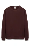 Mango Regular Fit Cotton Blend Sweatshirt In Burgundy