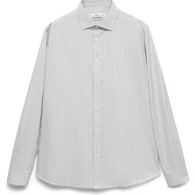 Mango Regular Fit Stripe Cotton Button-up Shirt In Brown