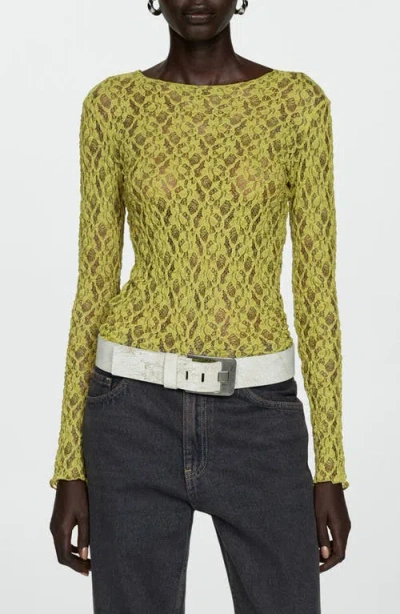 Mango Sheer Lace Boat Neck Long Sleeve Top In Green