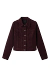 Mango Velvet Bomber Jacket With Stitching Wine In Burgundy