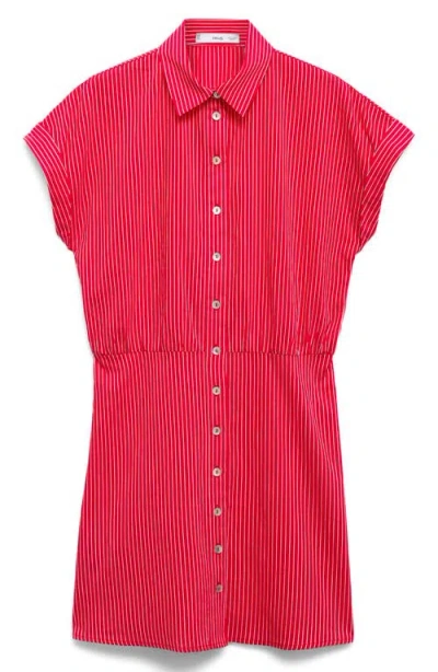 Mango Stripe Cotton Blend Mini Shirtdress In Red