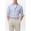 Mango Stripe Cotton Button-up Oxford Shirt In Blue