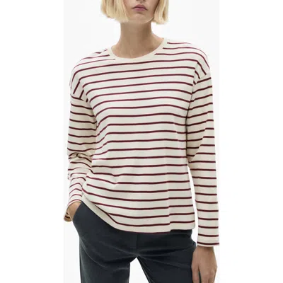 Mango Stripe Cotton Sweater In Burgundy Stripe/cream