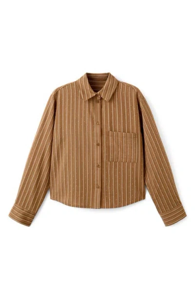 Mango Stripe Rhinestone Shirt In Brown