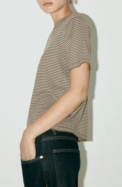 Mango Stripe Short Sleeve Sweater In Brown
