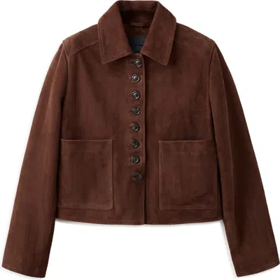 Mango Suede Button Front Crop Jacket In Brown