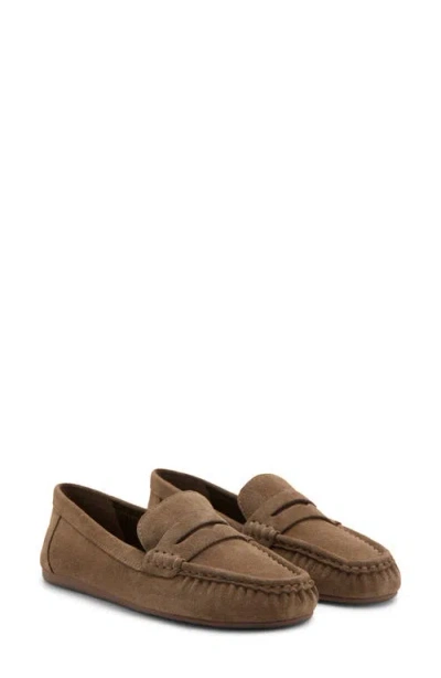Mango Suede Penny Loafer In Brown