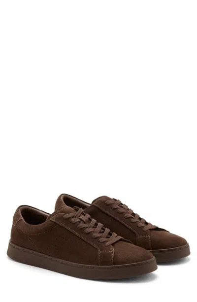 Mango Suede Trainer In Multi